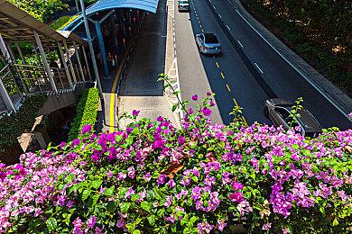 《HAELE 3D》登陆Steam 专业手部造型设计模拟器